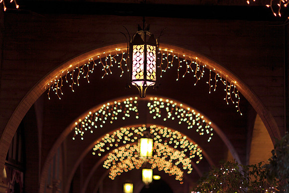 Holiday Lighting